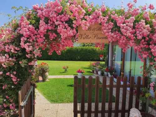  VILLA PASCALE - B&B - CASA VACANZE, Pension in Castellabate