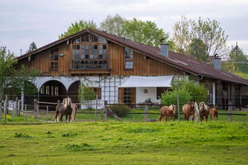 Ufering 60 - Apartment - Teisendorf