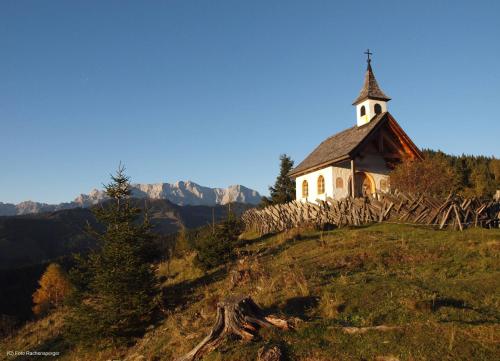 Gasthof Pesbichl - image 5