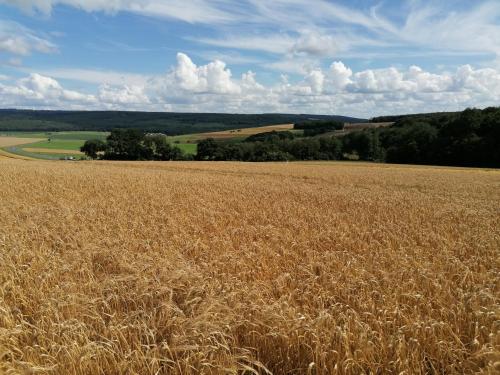 Ferienwohnungen Am Kapellenberg Losheim am See