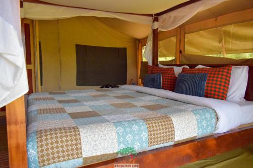 Oldarpoi Mara Camp in Masai Mara National Park