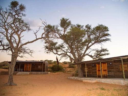 Zoutpanputs Game Lodge Zoutpanputs Game Lodge