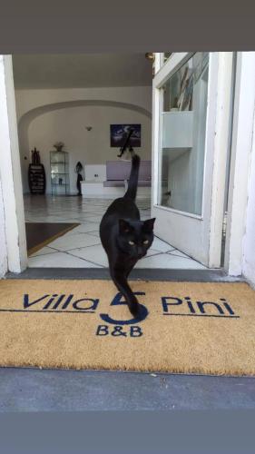 Villa Cinque Pini