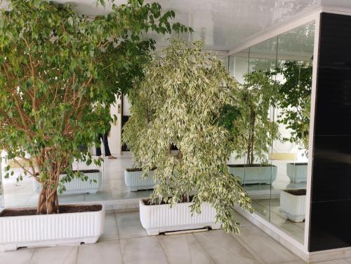 Studio image 8
