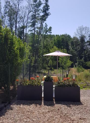 Létesítmények, Agréable petite maison proche Joigny (Agreable petite maison proche Joigny) in Joigny