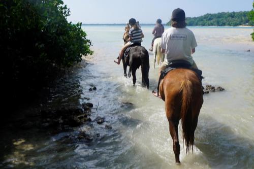 Aoredise, Luganville (foto 5)