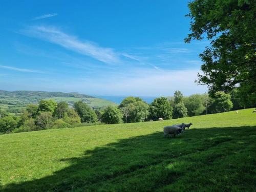 Shepherds hut surrounded by fields and the Jurassic coast