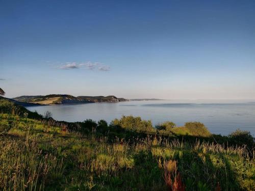 Shepherds hut surrounded by fields and the Jurassic coast