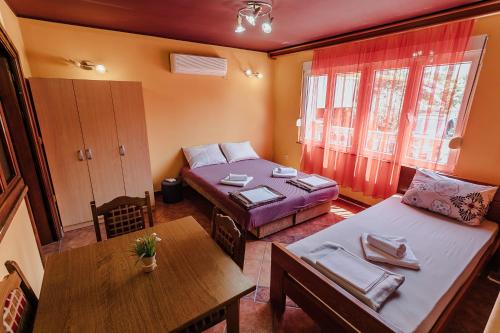 Guest House Villa Živanović - image 9