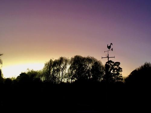 The shack life in Heidelberg