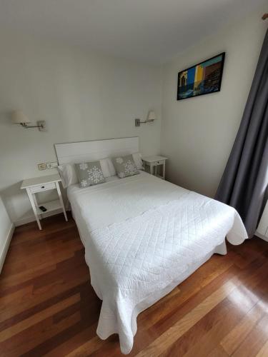 Hotel Casa Socotor