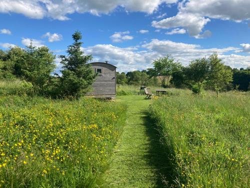 The Shepherd's Hut with pool now open