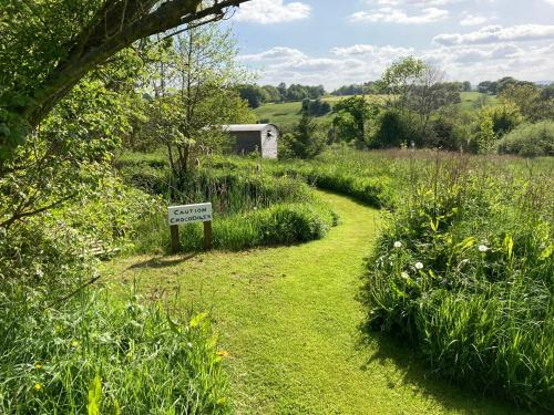 The Shepherd's Hut with pool now open