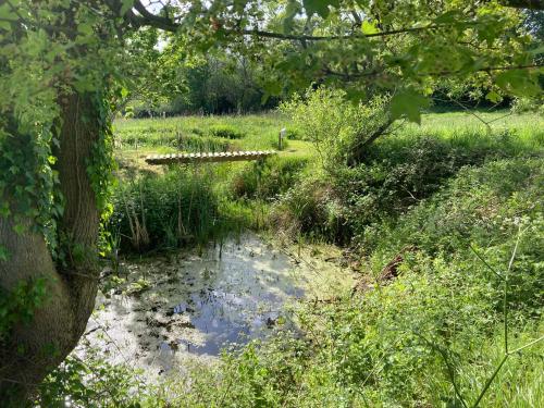 The Shepherd's Hut with pool now open