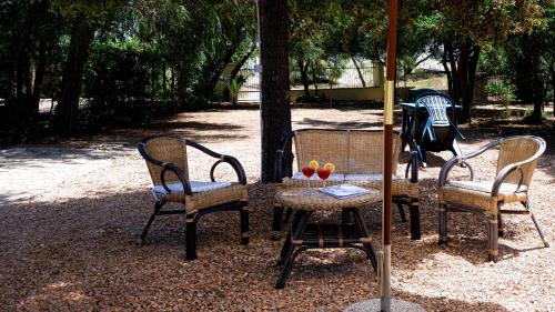 Villa Assunta, Tertenia (foto 10)