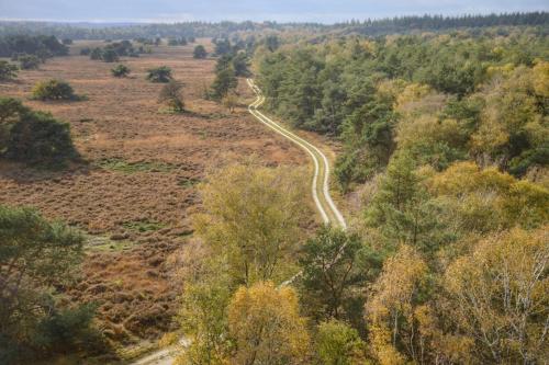 Herberg de Zwaan Elspeet