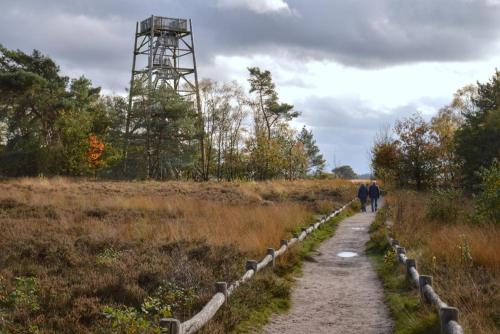 Herberg de Zwaan Elspeet