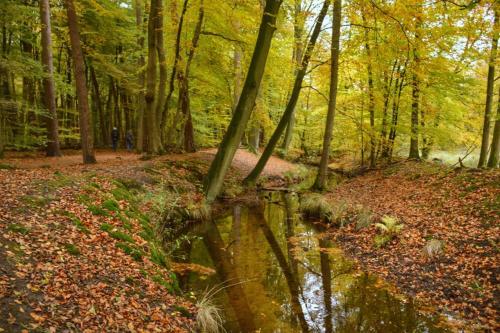 Herberg de Zwaan Elspeet