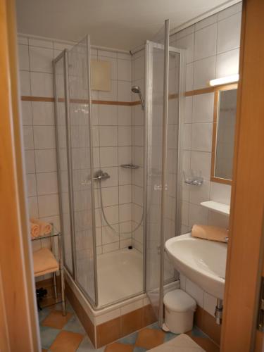 Haus Alpenflora - image 10