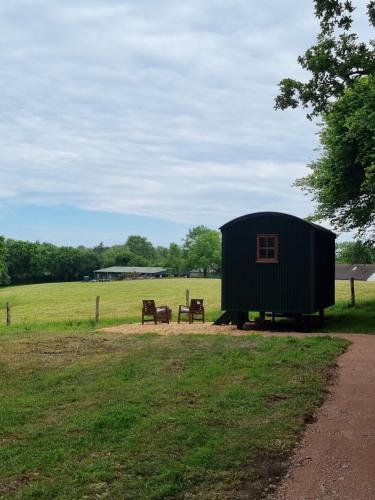 Shepherds hut surrounded by fields and the Jurassic coast - Hotel - Bridport