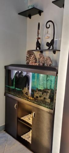 Apartment Ombla Apartment Ombla