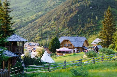 Holzboxen Planneralm in Planneralm, Österreich