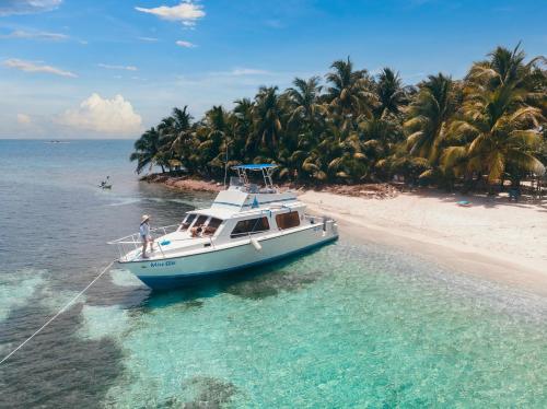 กิจกรรม, Turtle Inn by Francis Ford Coppola in พลาเซนเซีย