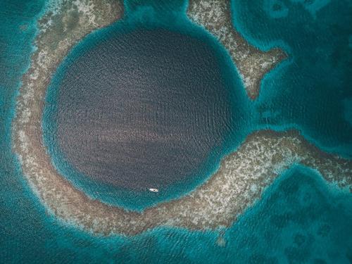 Turtle Inn by Francis Ford Coppola