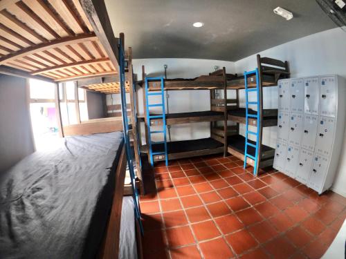 Bunk Bed in 12-Bed Mixed Dormitory Room image 5