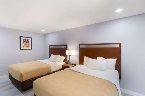 Quality Inn Redding near I-5 - image 10