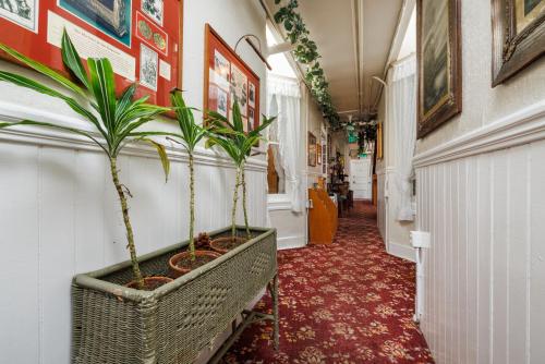 ล็อบบี้, ซานเรโมโฮเต็ล (San Remo Hotel) near เพียร์ 39