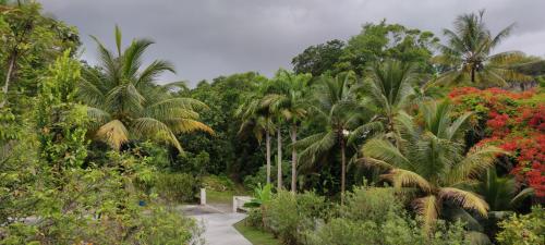 tuin, Gray Coconut Sorbet, T3 tout équipé avec parking gratuit (Gray Coconut Sorbet, T3 tout equipe avec parking gratuit) in Le Moule