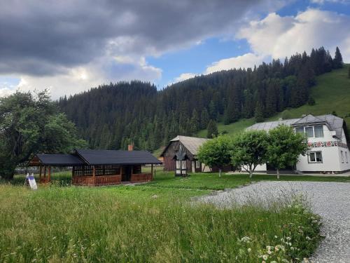 Apkārtne, Casa Dumitru si Elena Ciocanesti Bucovina in Ciocănești