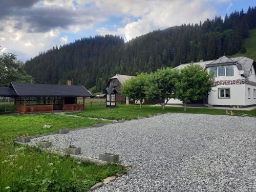 Casa Dumitru si Elena Ciocanesti Bucovina in Ciocănești