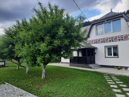 Viesnīcas āriene, Casa Dumitru si Elena Ciocanesti Bucovina in Ciocănești