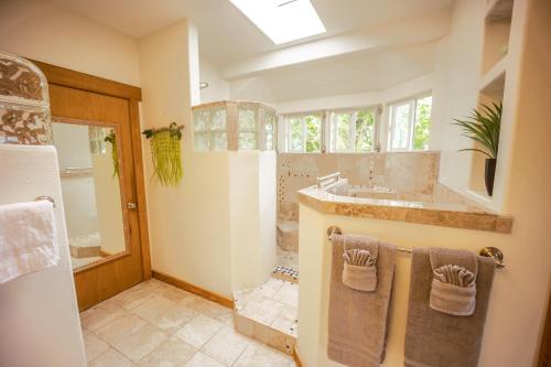 Hilo Vacation Rental - image 3