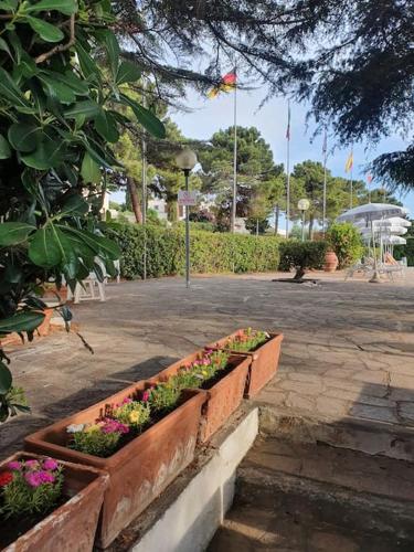 ççç Holiday Properties Le Vele ççç