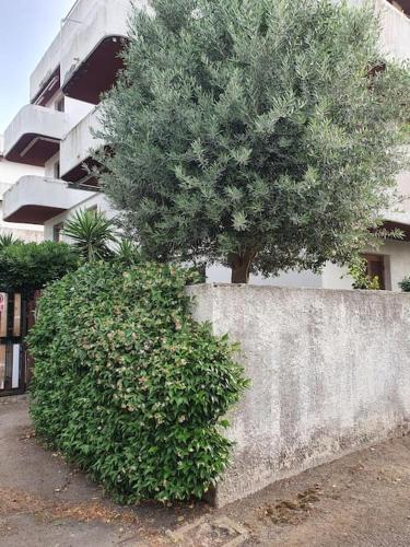 ççç Holiday Properties Le Vele ççç