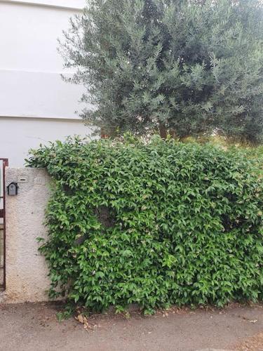 ççç Holiday Properties Le Vele ççç