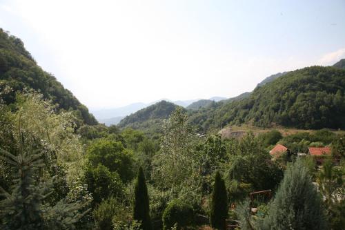 阿纳斯塔西娅旅馆 阿纳斯塔西娅旅馆