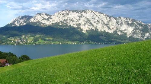 Landgasthof Spitzerwirt