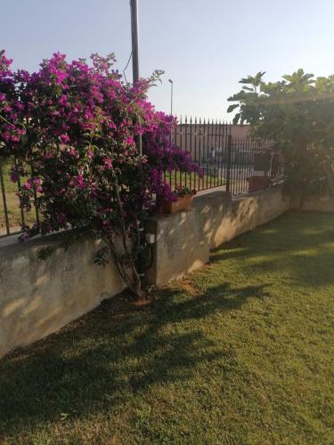 La casa del sole (arcomagno San Nicola Arcella) La casa del sole (arcomagno San Nicola Arcella)