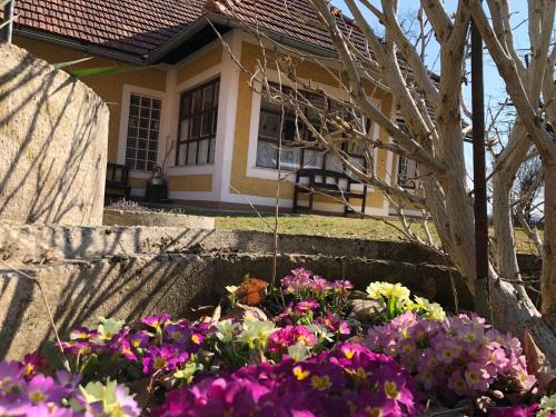  Foidlhaus in Bierbaum am Auersbach