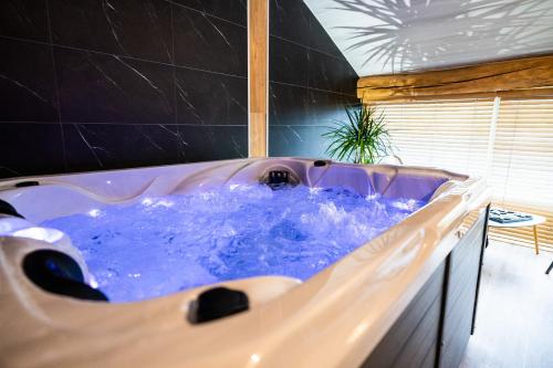 Les Charmes du Lac Gite Romantique avec jacuzzi privatif