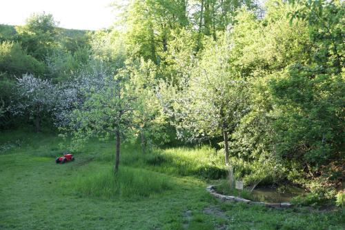 Große Wohnung / Haushälfte in Peetzig am See