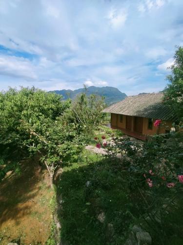 Garden, H'mong Co Tran Sapa Homestay & Restaurant near Terraced Rice Fields in Shin Chai Village