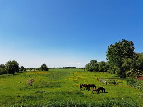 FeWo Vißer‘s Landblick