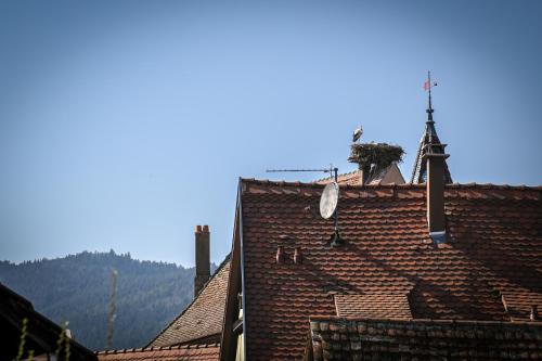 Le Hameau d'Eguisheim