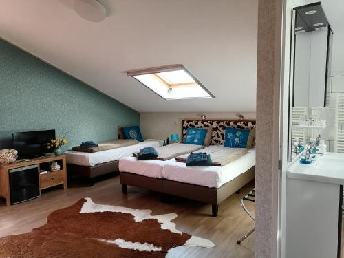 Boerderij Hazenveld Room Type - Comfort Twin Room