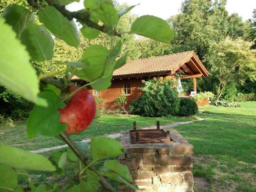 A szálláshely kívülről, Romantisches Blockhaus an der Märchenstraße! (Romantisches Blockhaus an der Marchenstraße!) in Reinhardshagen